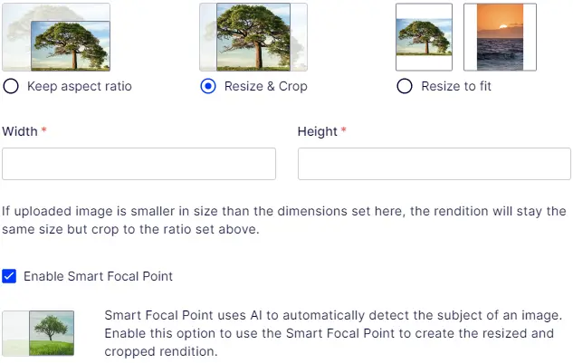 Setting automatic focal points for images