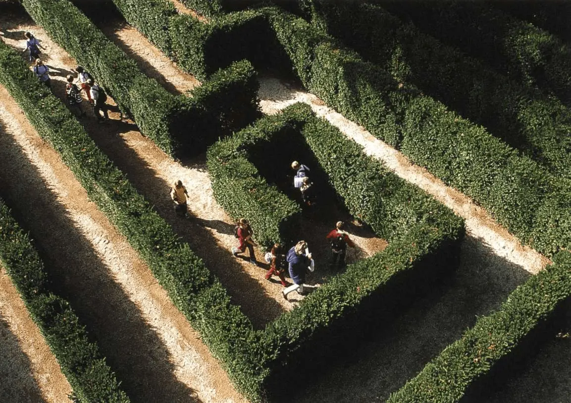 hedge maze