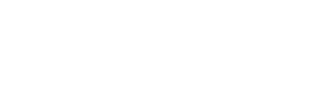 onemagnify-logo_light