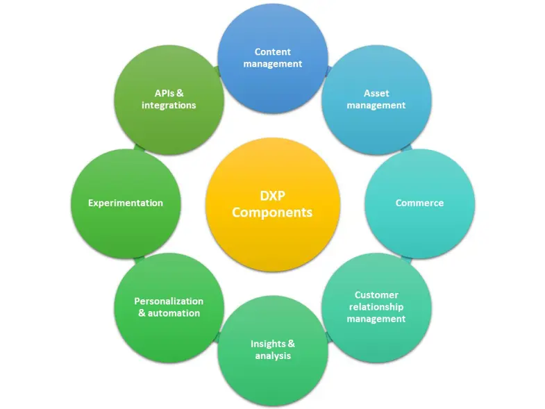 DXP components
