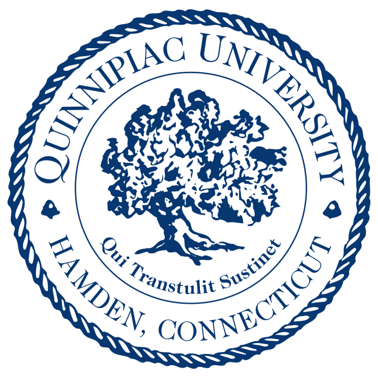 a blue and white circular object