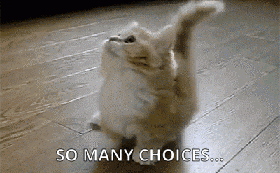 Choices Kitty Gif