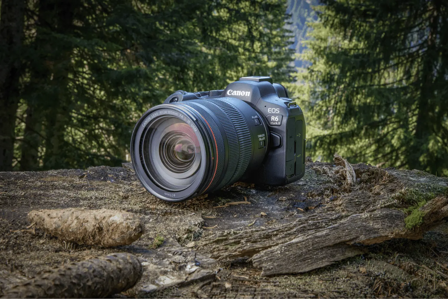 a camera on a log