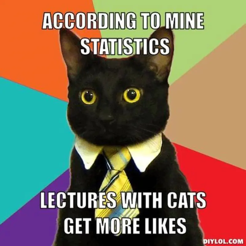 Stats cat