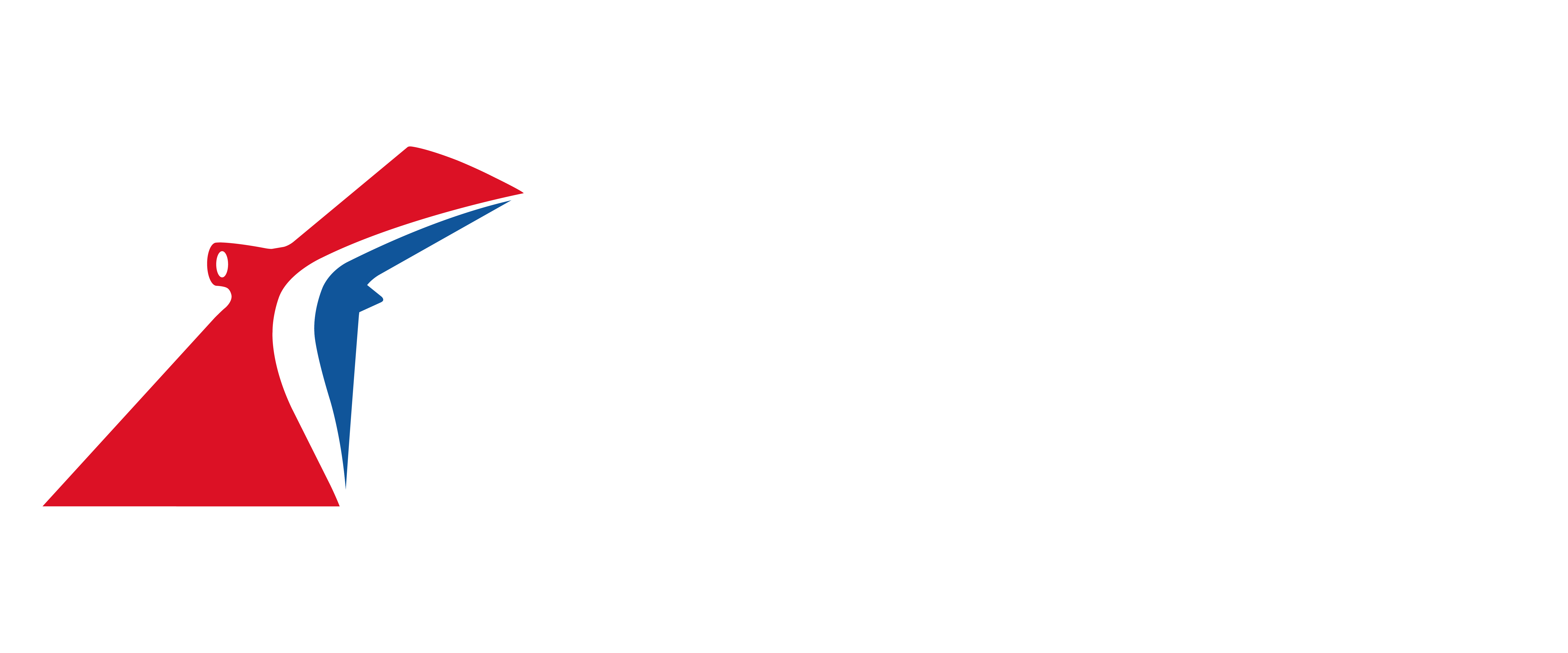 Carnival Cruise Line