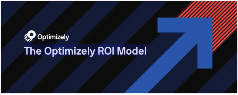 ROI Model